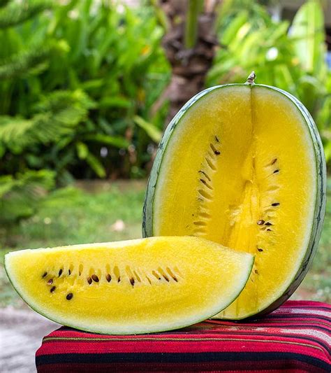 3 Benefits Of Yellow Watermelons, How To Store Them, & Recipes