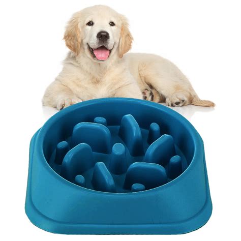 Suhaco Slow Feeder Dog Bowl Pet Non-spill Maze Interactive Puzzle Food ...