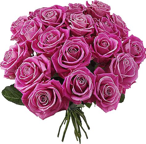 BOUQUET DE ROSES.