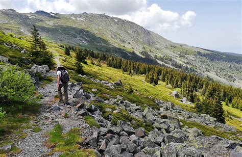 Vitosha & Cherni Vrah Peak Hiking Day Tour From Sofia. Guided & Self ...