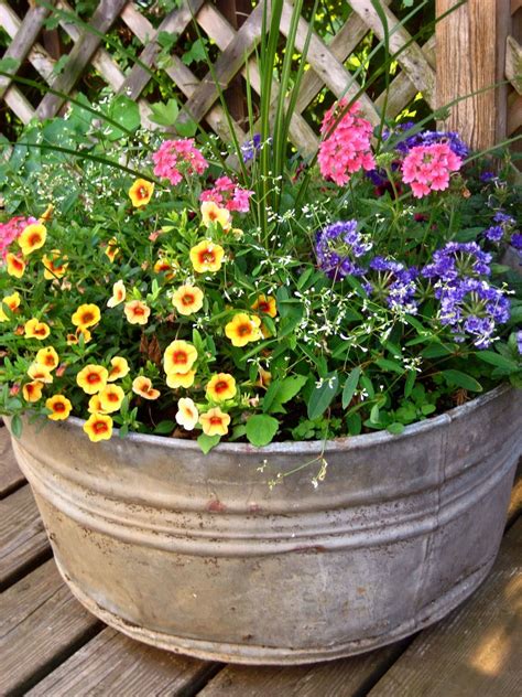 Flowers For Full Sun Heat | pot contains four types of heat tolerant annuals requiring full sun ...