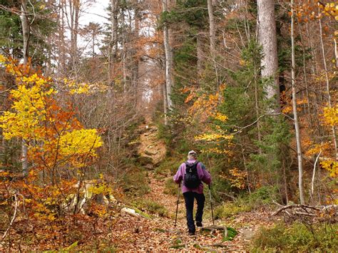 The best Hikes in the Bohemian Forest