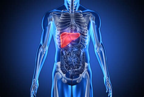 Salud higado - Hemocromatosis