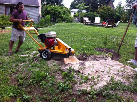 DIY Tree Stump Removal Tips - Lehman Lane