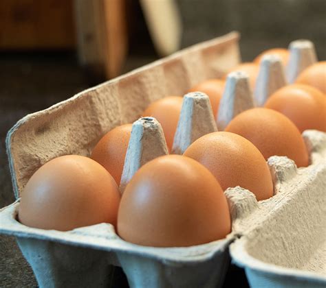 Free range eggs | Bramble Creek Farm