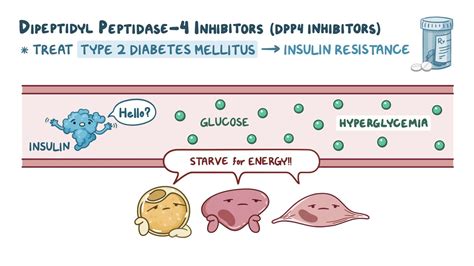 Oral antidiabetic medications - DPP-4 inhibitors: Nursing pharmacology - Osmosis Video Library