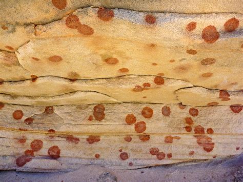 Red spots: Yellow Rock, Grand Staircase-Escalante National Monument, Utah