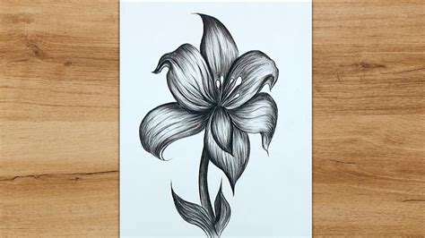 How to Draw a Lily Flower step by step | Realistic Lily Flower Drawing ...