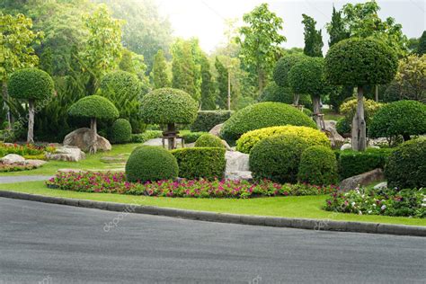 Gardening and Landscaping With Decorative Trees — Stock Photo © sirastockid08 #60036811