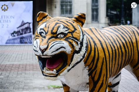 New Plaza Mayor tiger statue to signal UST’s aggressive expansion