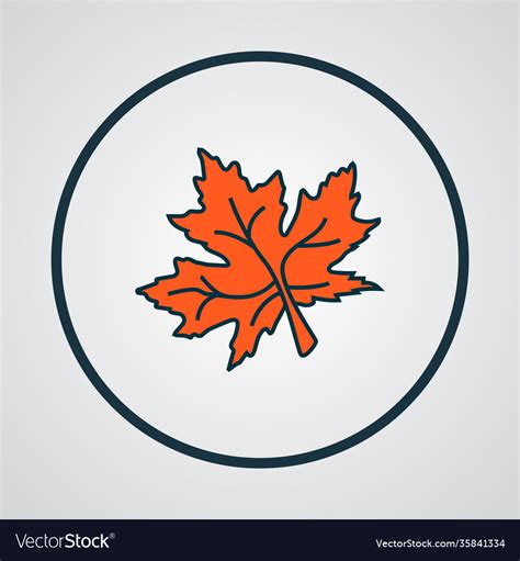 Maple leaf icon colored line symbol premium Vector Image