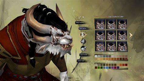 Guild Wars 2: Races - The Absolute GW2 Guide! | Invoke the Pixel