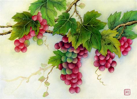 Grape Vine Painting at PaintingValley.com | Explore collection of Grape Vine Painting