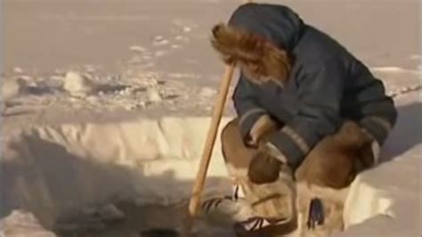 Arctic Fishing | Ray Mears World of Survival | BBC Studios - YouTube