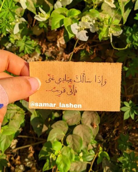 Eng Samar Lashin on Instagram‎: " ️ ️ #خطي #كتابات #تصوير #تصويري #فوتوغرافي"‎ | Samar, Herbs, Food