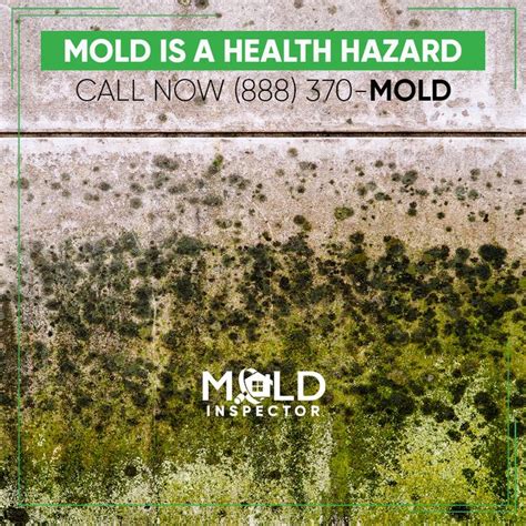 Understanding the Health Effects of Mold