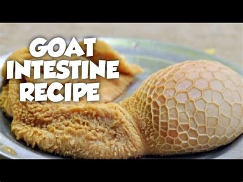 Goat Intestine Cooking | Cooking Goat Boti, how to cook goat intestines. - YouTube