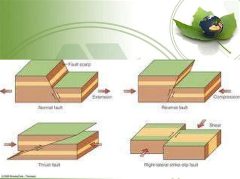 earth movements Endogenic forces