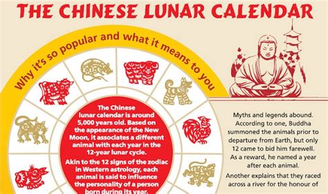 The Chinese Lunar Calendar #infographic - Visualistan