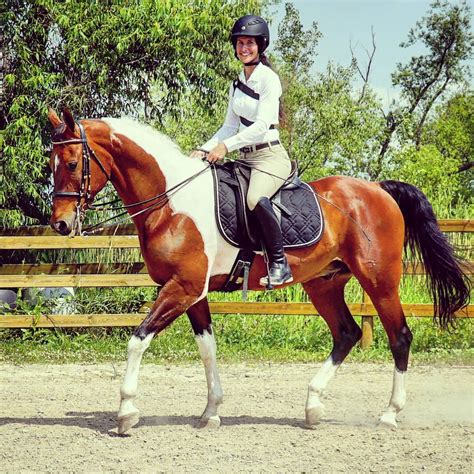 Riding a World Champion National Show Horse — DiscoverTheHorse