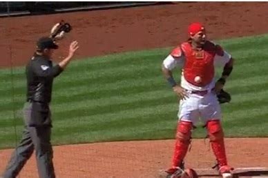 Cardinals' Yadier Molina Can't Find Baseball Stuck to His Chest Protector | News, Scores ...