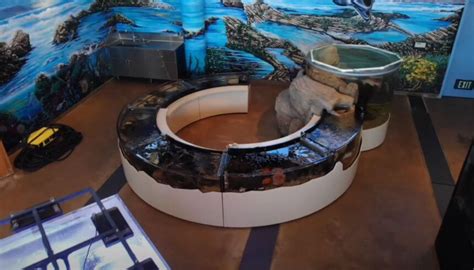 Cabrillo High School Aquarium hosts virtual tours for elementary students | News Channel 3-12