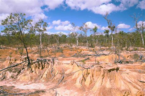 Desertification In Africa