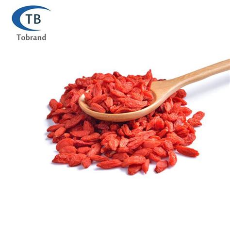 Wolfberry Powder Manufacturers, Suppliers, Factory - Wholesale Price - TOBRAND