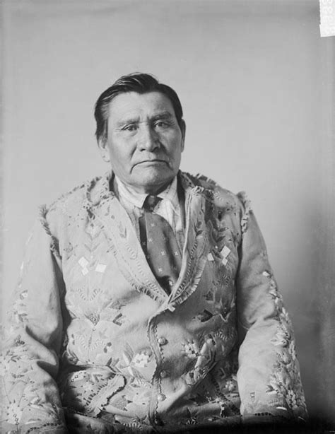 CAPA SKA , 1907 Lakota, Native Indian, Smithsonian, Nativity, History, Wolf, Cards, Collection ...
