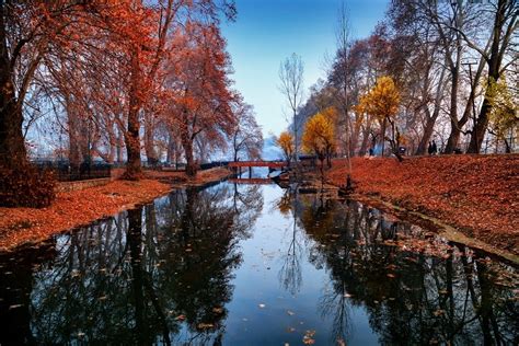 5 Best Places To Visit To Experience Autumn Beauty In India