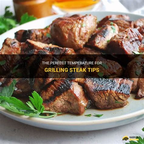 The Perfect Temperature For Grilling Steak Tips | ShunGrill