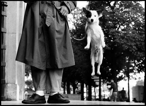 Elliott Erwitt - Paris, France, 1989 - Elliott Erwitt (Black and White ...