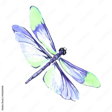 Watercolor color dragonfly drawing Stock Vector | Adobe Stock