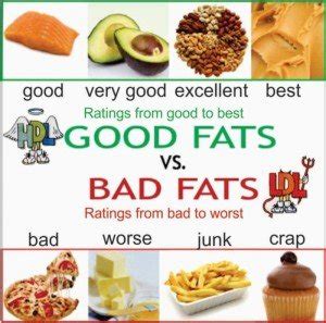 The Difference Between Saturated and Unsaturated Fats