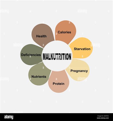 Diagram concept with Malnutrition text and keywords. EPS 10 isolated on white background Stock ...