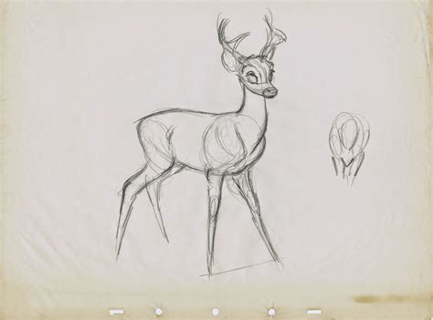 Deer Development | Deer sketch, Sketches, Deer cartoon