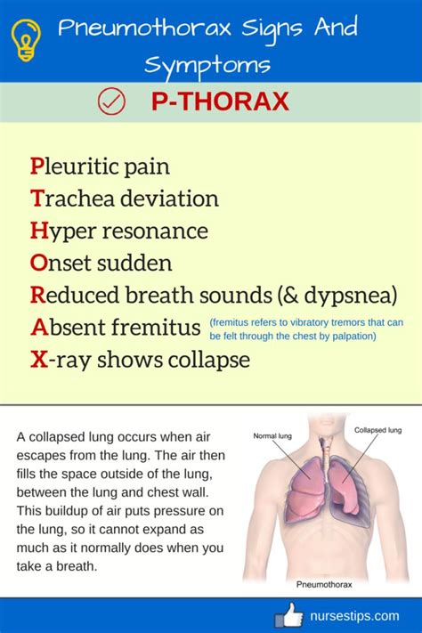 17 Best images about Respiratory System on Pinterest | Nursing ...