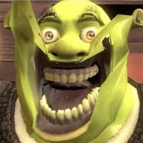 Shrek Face Image