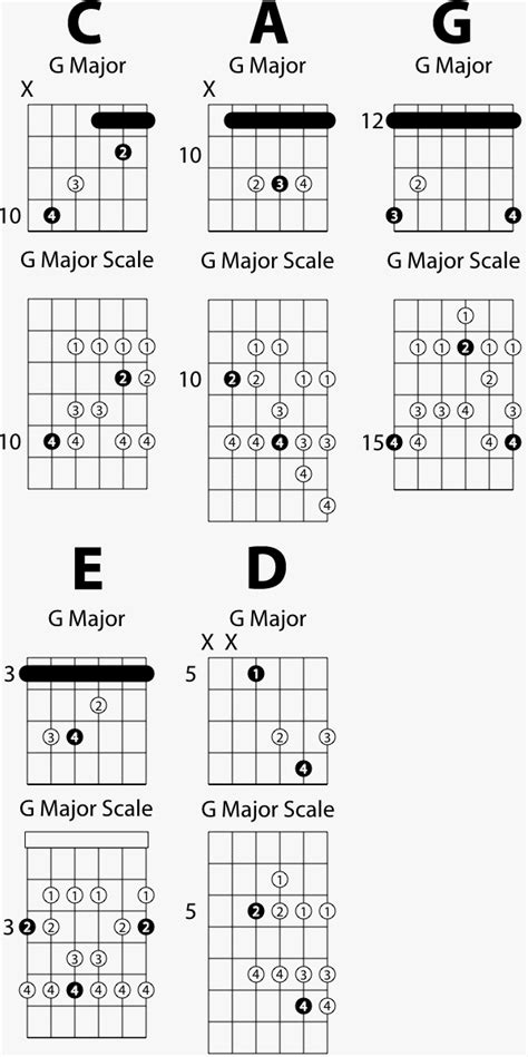 Guitar Chords And Scales - Sheet and Chords Collection