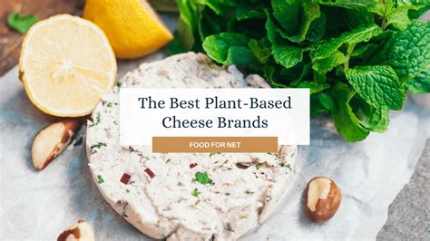 5 Best Plant-Based Cheese Brands | Food For Net