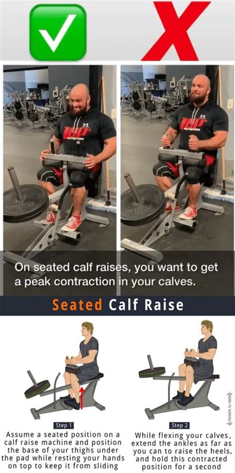 Calf Raise | Video & Guide