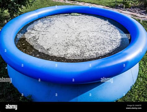 Dirty stagnant water in an abandoned inflatable pool Stock Photo - Alamy