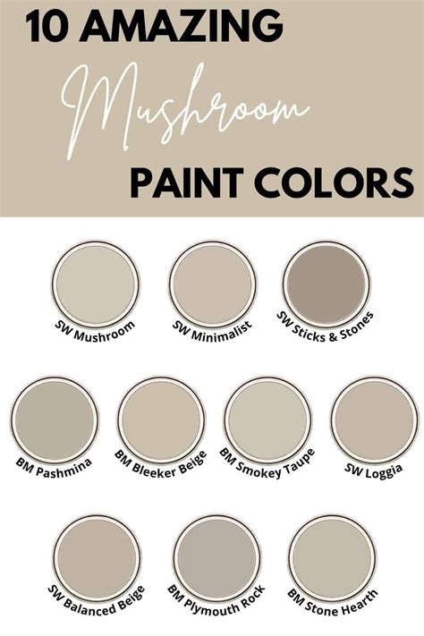 10 Best Mushroom Paint Colors - West Magnolia Charm | Mushroom paint, Greige paint colors, Paint ...