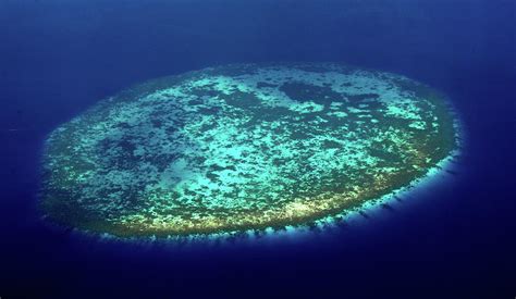 Aerial View of Rounded Coral Reef. Maldives Photograph by Jenny Rainbow ...