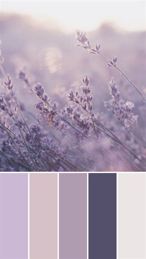 Lilac Moodboard | Calm color palette, Color palette generator, Purple color palettes