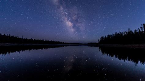 2560x1440 Resolution Forest Milky Way Night Reflection over River 1440P ...