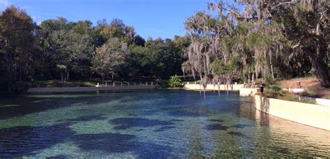 Salt Springs Recreation Area in the Ocala National Forest @ Salt ...