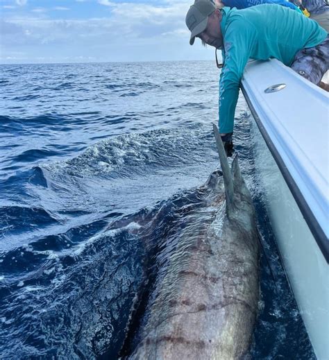 Sportfishing in Playa Flamingo, Costa Rica