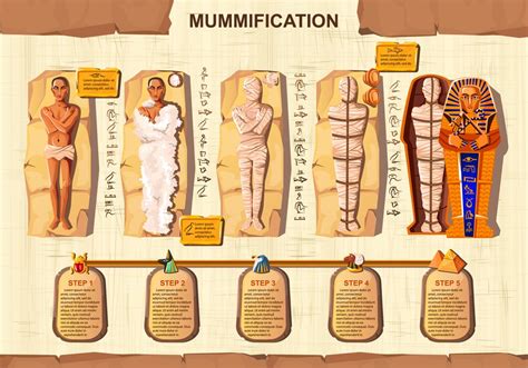 Unveiling the Secrets of the Mummification Process in | PlanetSpark