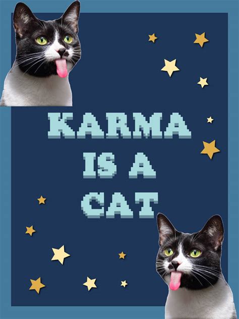 Karma is a cat by bdrawingsomestuff on DeviantArt